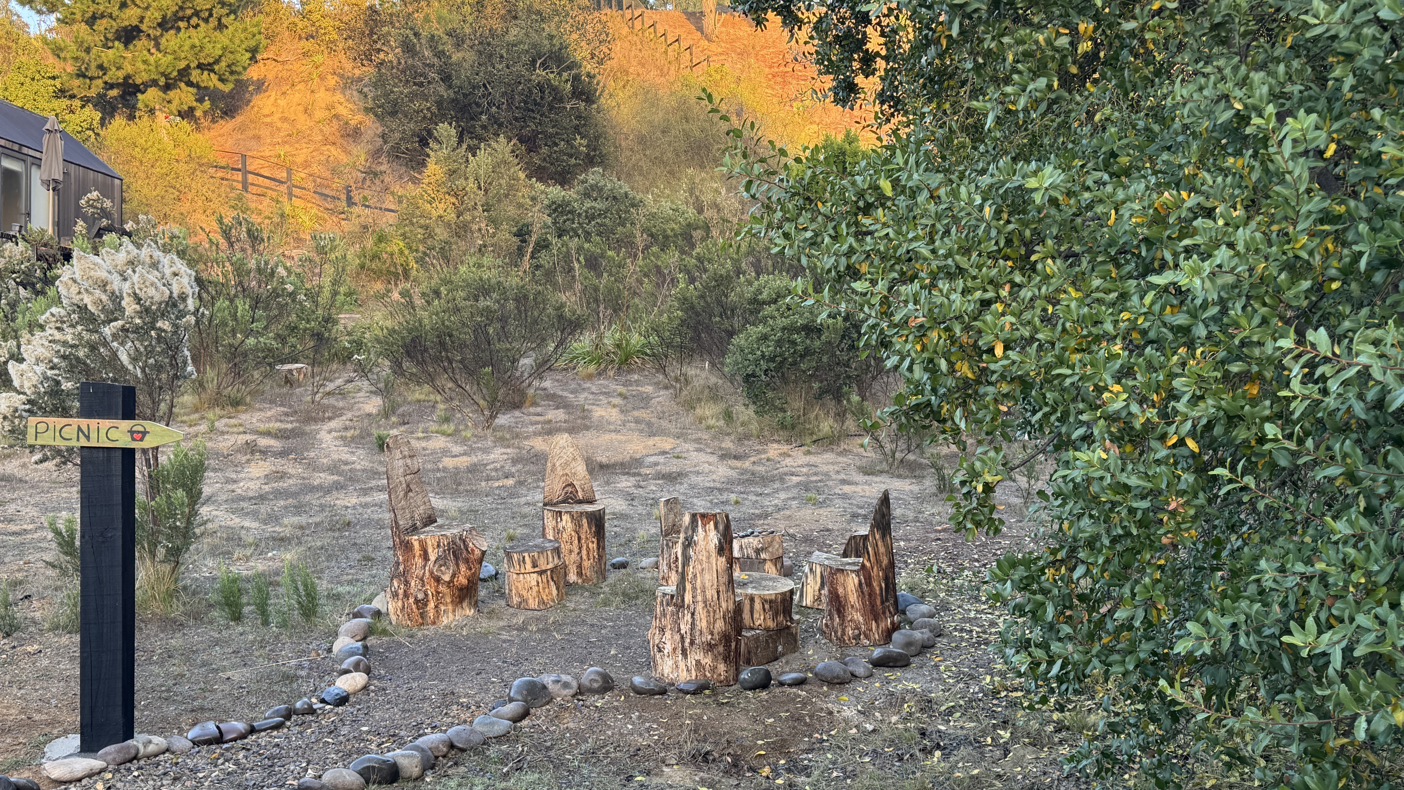 Zona de picnic con asientos de madera bajo un Quillay